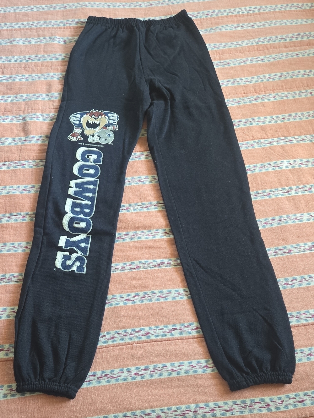 Black Vtg 1993 Loony Tunes Taz Cowboys Puffy Graphic Sweatpants